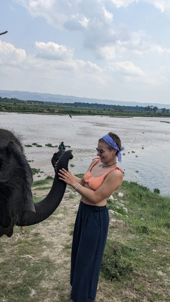 Elephant care and conservation